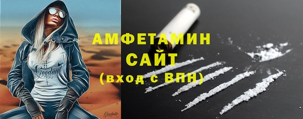 гидра Медвежьегорск