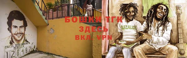 ГАЛЛЮЦИНОГЕННЫЕ ГРИБЫ Магас